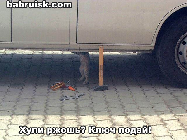 ))
