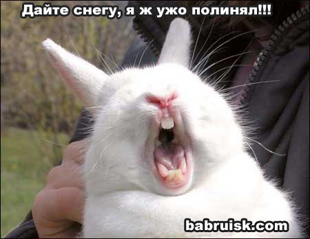 ))