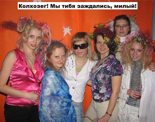 телки