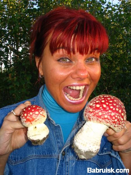 грибочки