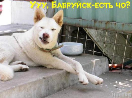обдолбиться