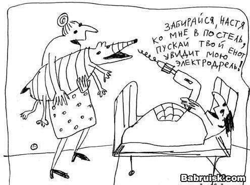 еноты