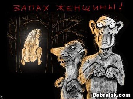 запах женщины