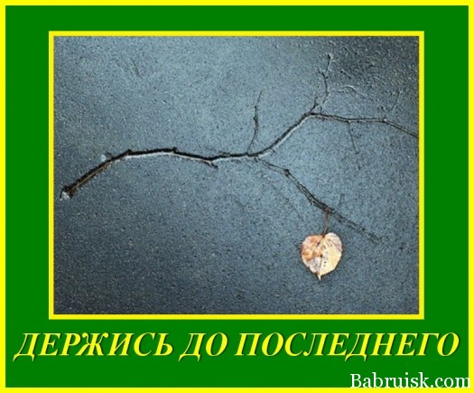 derzhis-do-poslednego