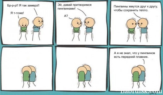 fin встал