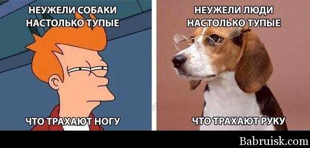 %D0%94%D1%80%D1%83%D0%BD%D1%8F1.jpg