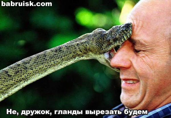 ))