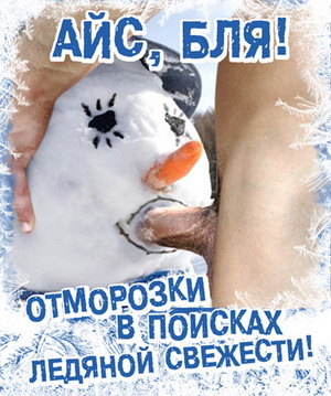 37632.jpg