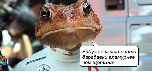 alonsvd0.jpg