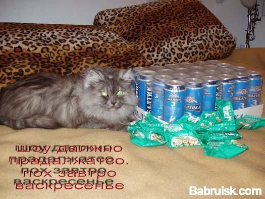 балтика