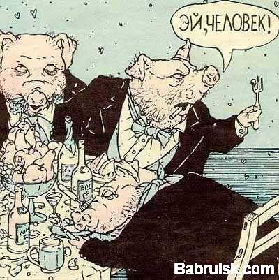 свиньи