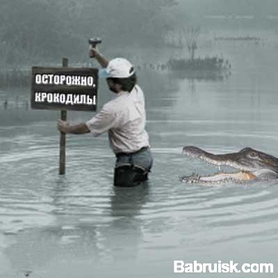 крокодил