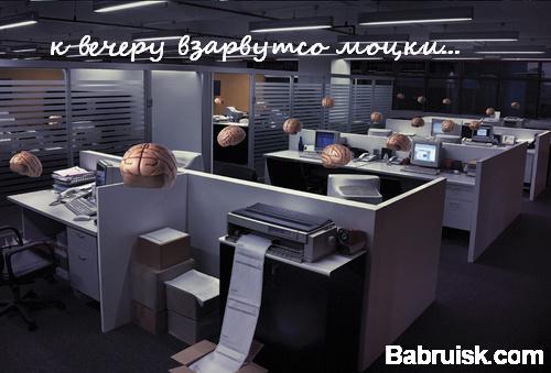 мозги