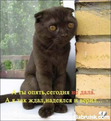 котег