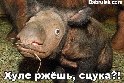 анатолий вассерман