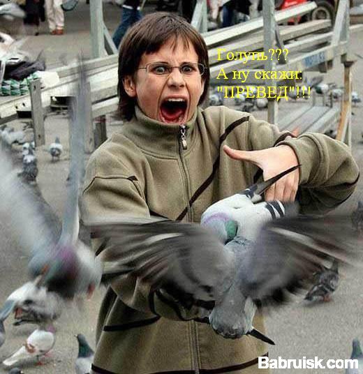 превед