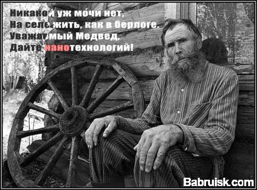 медвед