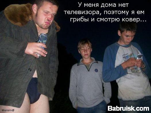 грибасы