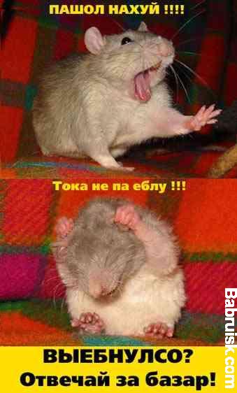 базар