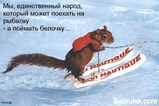 белка