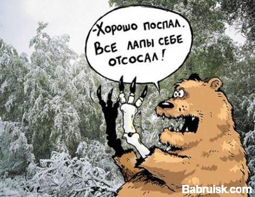 лесные друзья
