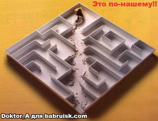 крыс