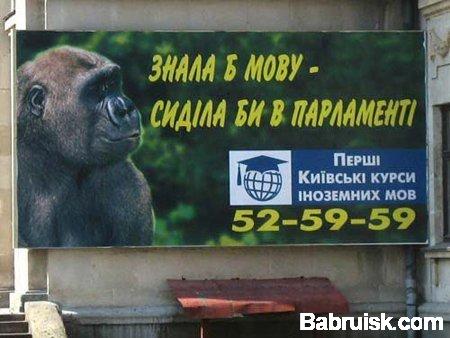 курсы иностранных языков