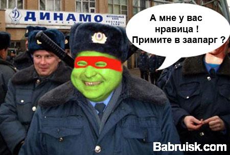 черепашка-ниндзя