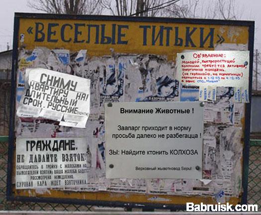 я разместил объяву