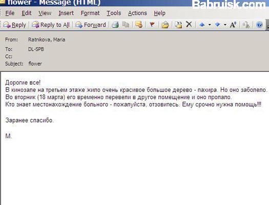 пропало дерево