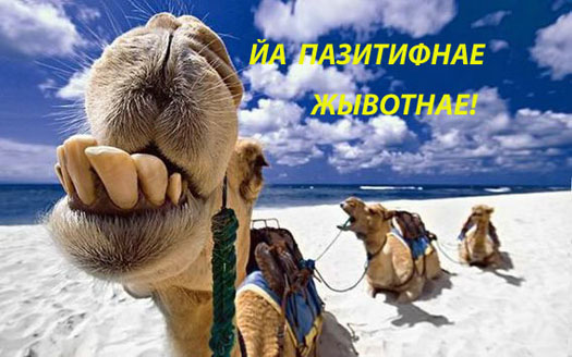 позитив, хуле
