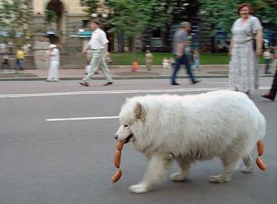 сардельки в жопе