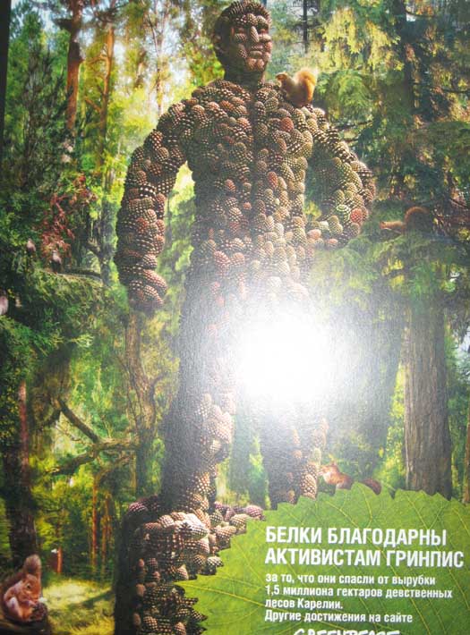 шишки