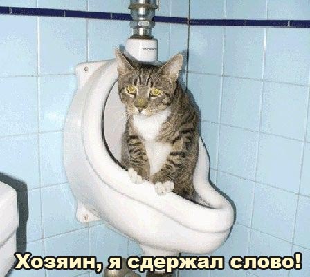 ельцин