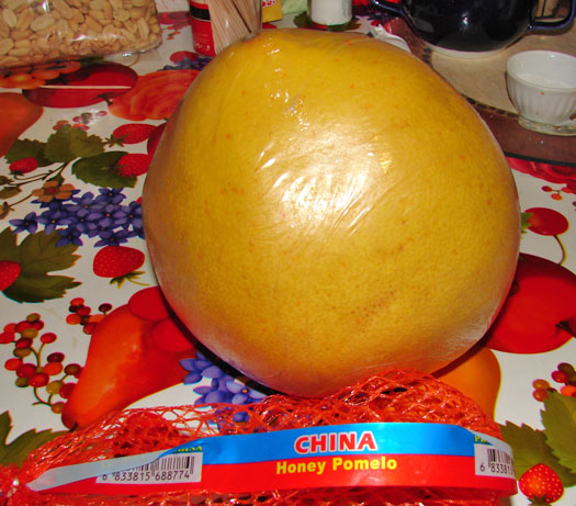 помело