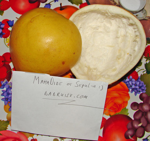 помело