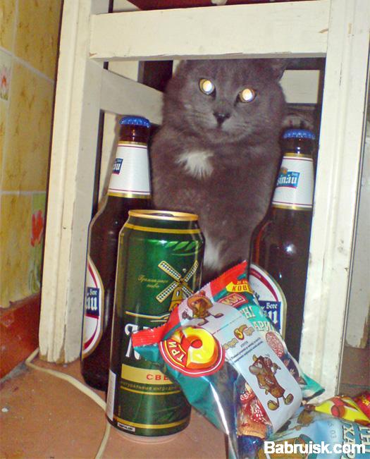 день победы