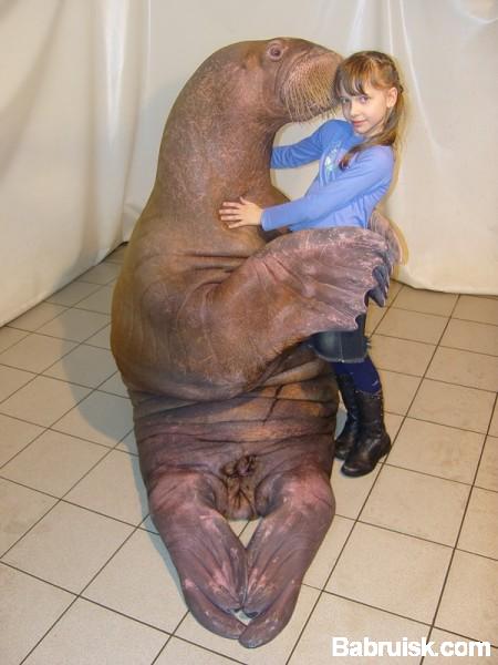 животное