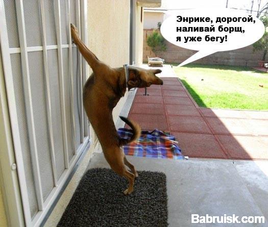 португалия