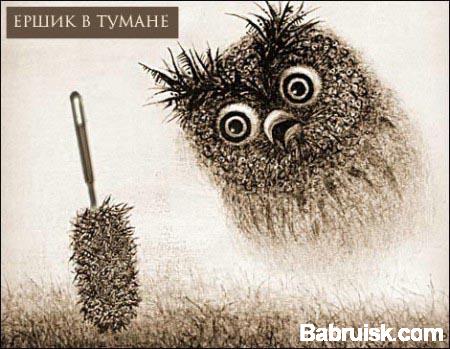 ёршик в тумане