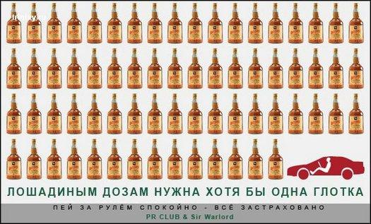 лошадиная доза