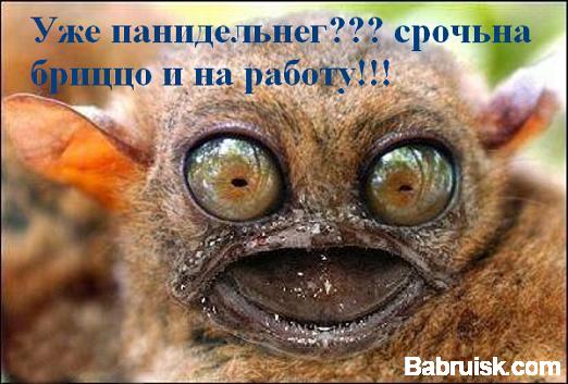понедельник, хуле