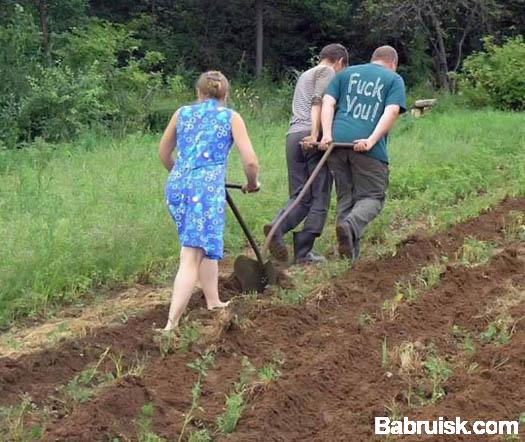 водопроводчики