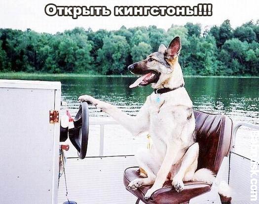 серко