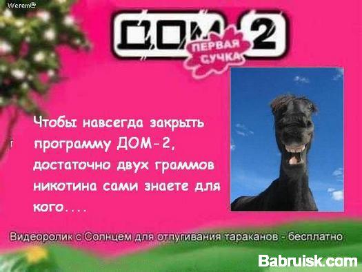 дом 2 и сбочак