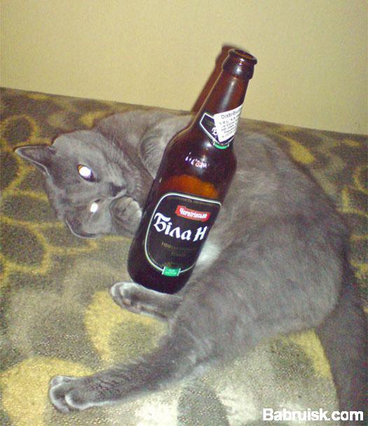 пиво Билан