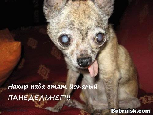 понедельник