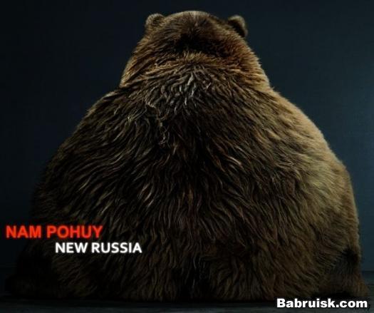 Медвед и новая россия