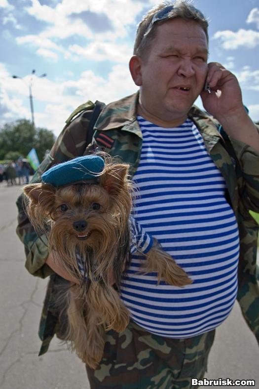 собачка с десантником