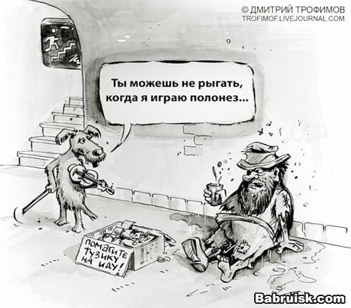 собака играет полонез